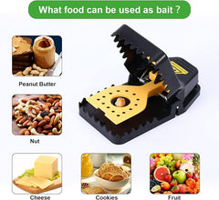 Reusable Rat Trap for Indoor Use